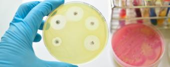 Pfizer investeert in enorm antibioticaresistentie actiefonds