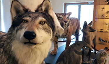 Op museumsafari met migranten | Pfizer Nederland