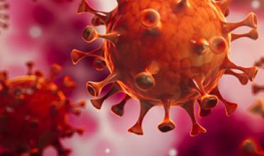 Coronavirus | Pfizer Nederland