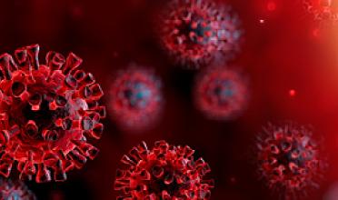 Pfizer licht ‘COVID-19 White House Meeting’ toe