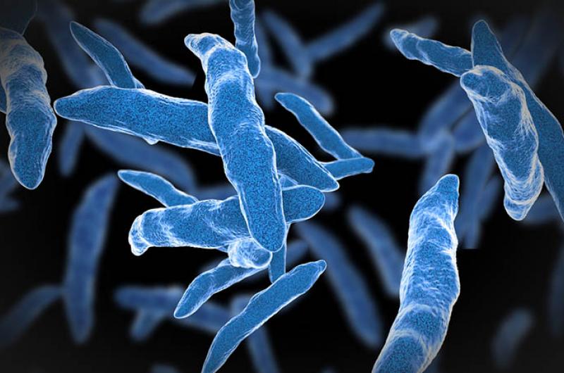 In 2003 wordt de eerste tbc-bacterie gevonden die volledig resistent is