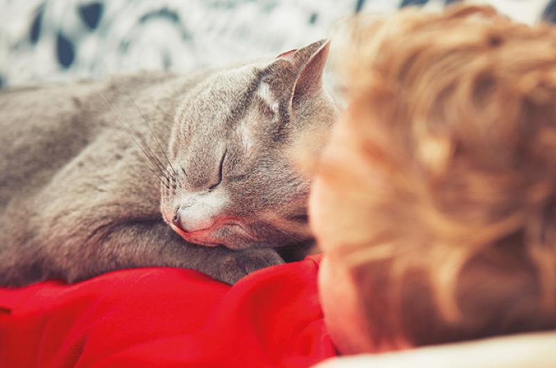Knuffelen is gezond! Ook met je eigen kat | Pfizer Nederland