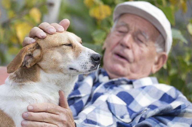 man met hondje- Eenzaamheid is een epidemie, zeker onder ouderen