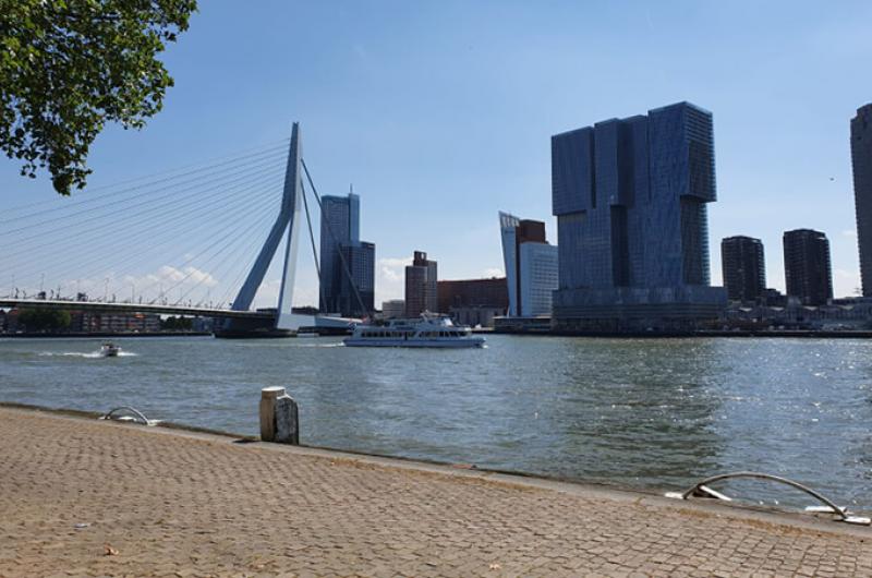 De Tour de Rotterdam is echt wel gers. | Pfizer Nederland