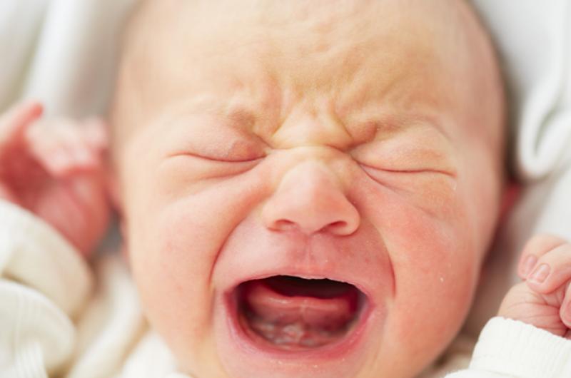 Sebastiaan Goulooze Winnaar van de PhD Student Competition 2019 | Pfizer Nederland