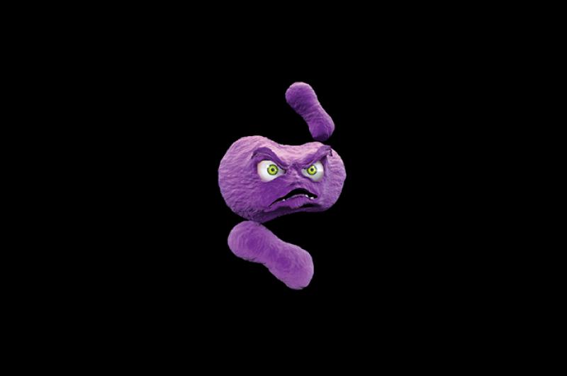 Acinetobacter baumannii