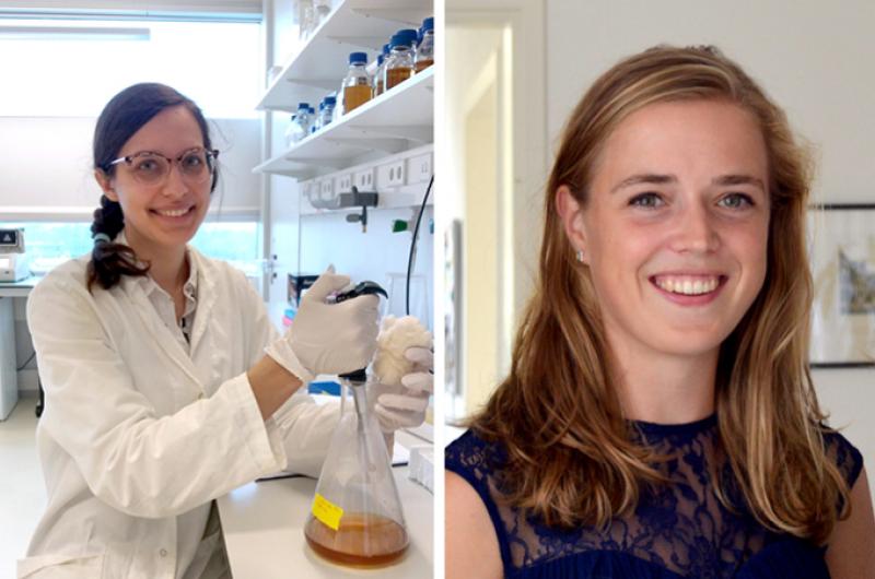 Pfizer prijs voor stamcelonderzoeker