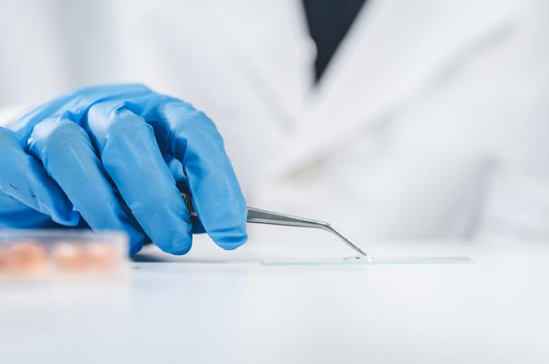 Pfizer neemt Seagen over